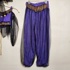 Harem Princess Costume Childs Arabian Dancer